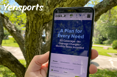 Cricket Change Phone Number