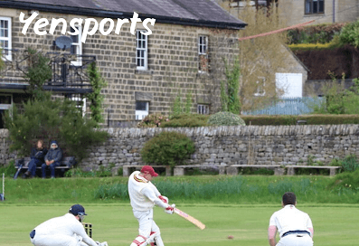 Cricket In House Meaning