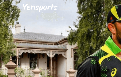 Cricket In House Meaning