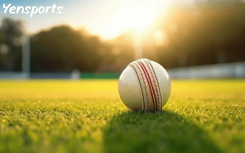 Cricket Bat & Ball