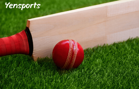 Cricket Bat & Ball
