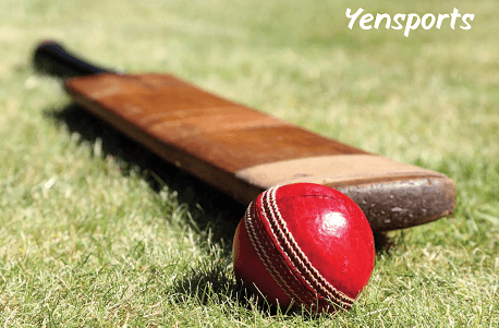 Cricket Bat & Ball