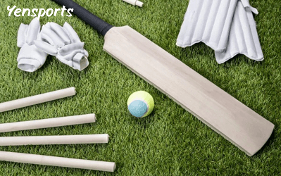 Cricket Bat & Ball