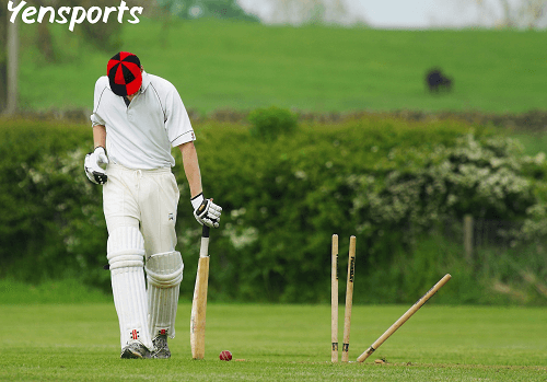 Cricket Nets Near Me