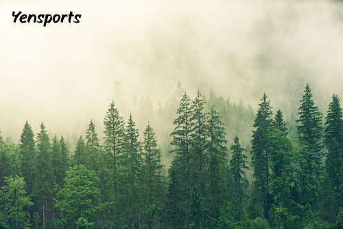 How Can You Help Draft Your Team For Cross Country