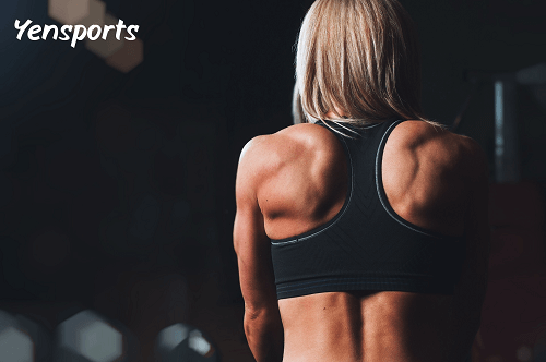 Triphasic Training