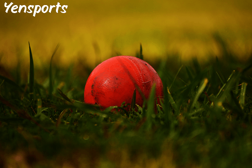 Cricket Pullovers