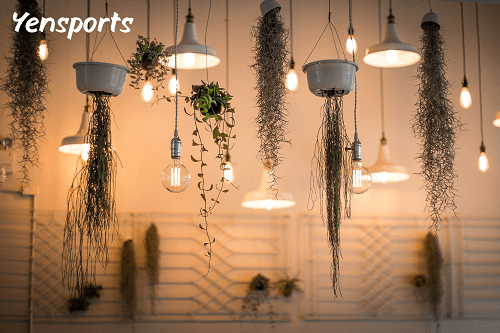 Open Spaces Sports