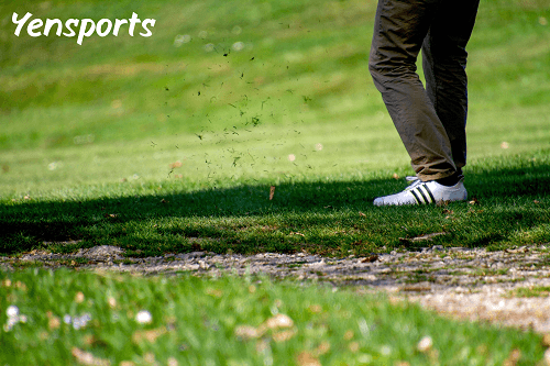 Sports And Recreation Commission