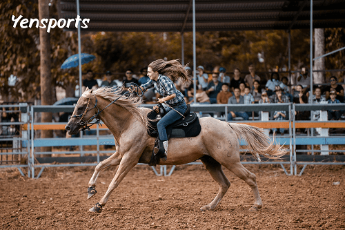 Bronco Sport Accessories