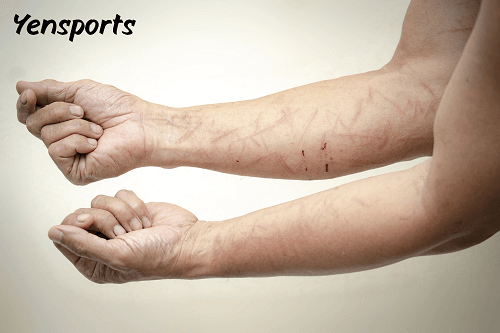 Miller Sports Orthopedic Pdf